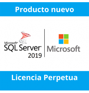 Microsoft SQL Server 2019 Standard Edition - Licencia Perpetua
