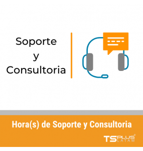 TSPlus Horas(s) de soporte y consultoria 8x5