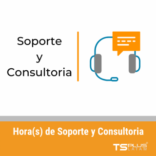 TSplus Horas(s) de soporte y consultoria 8x5